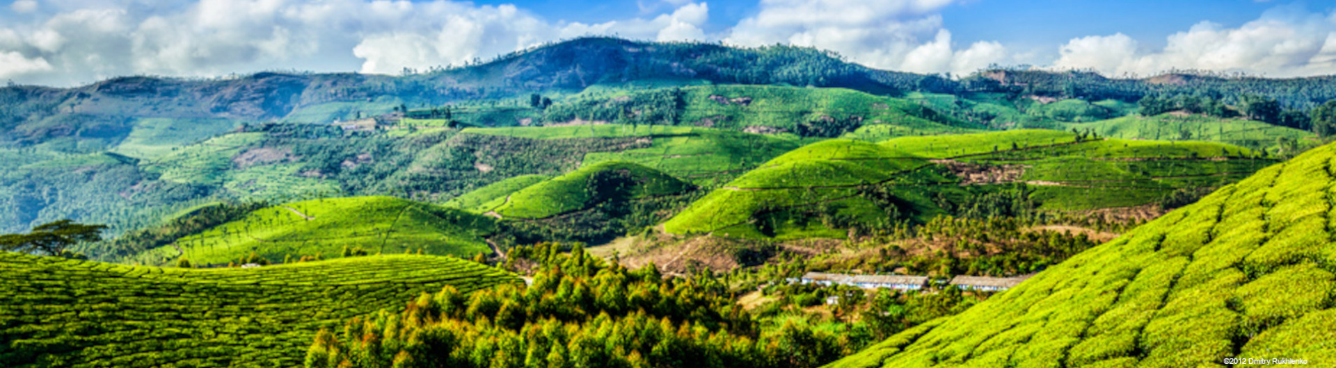 Mersen India CSR Activties